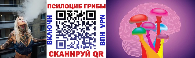 Купить где  Северобайкальск  Псилоцибиновые грибы мухоморы 